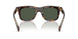 30029A - Tortoise - Green Polar