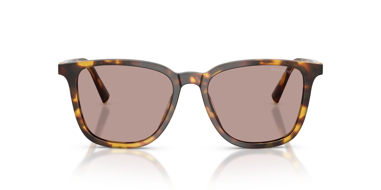 14L20I - Tortoise - Light Purple Brown