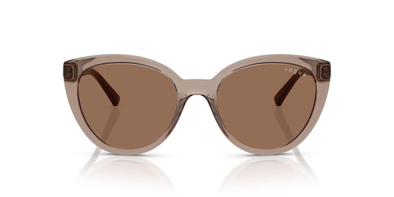 294073 - Brown - Dark Brown