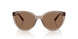 294073 - Brown - Dark Brown