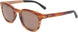 10MUTD - Matte Tortoise - Hcl Bronze
