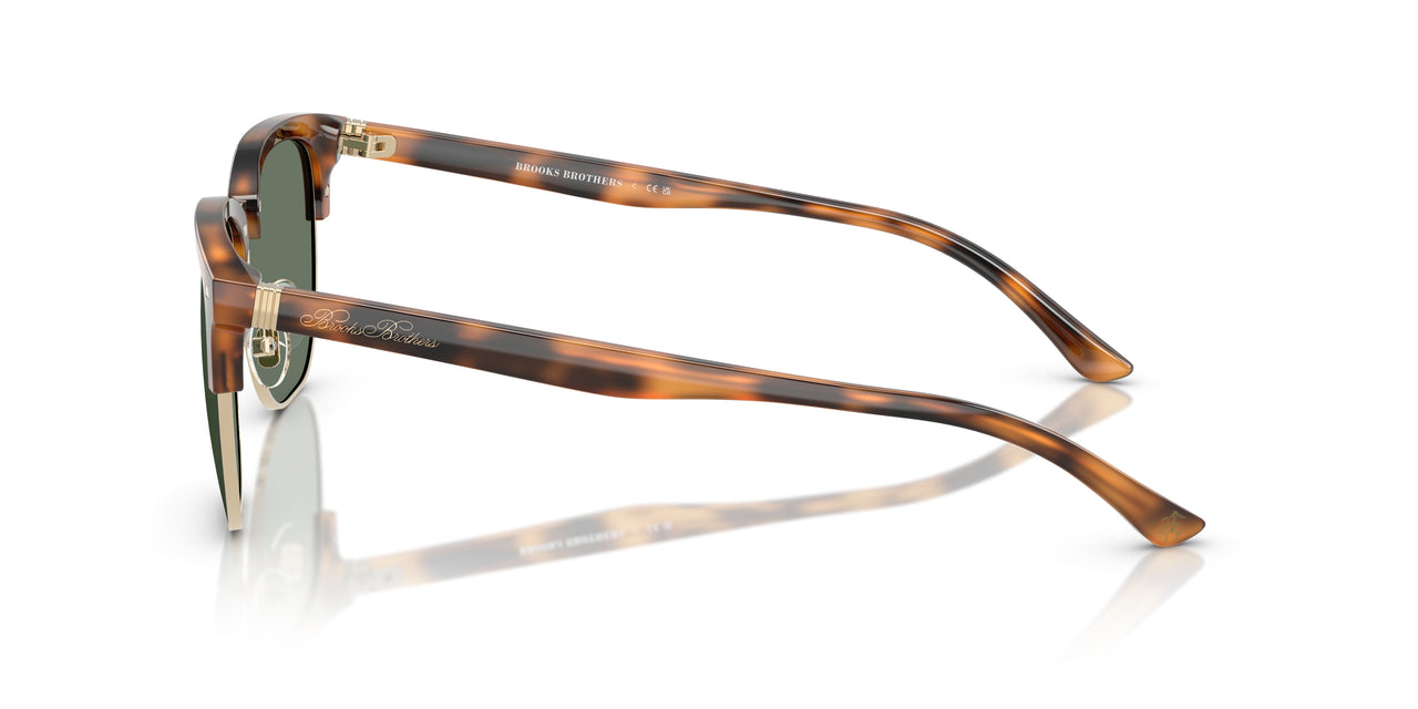 61613H - Tortoise - Dark Green Solid