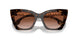 300213 - Brown - Brown Gradient