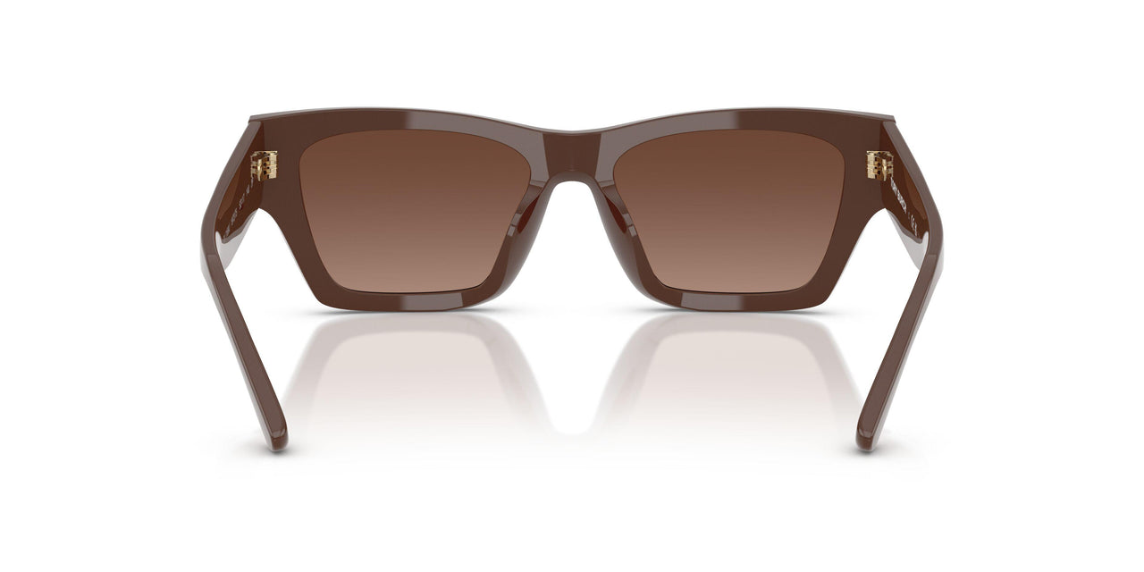 1973T5 - Brown - Brown Gradient Polar