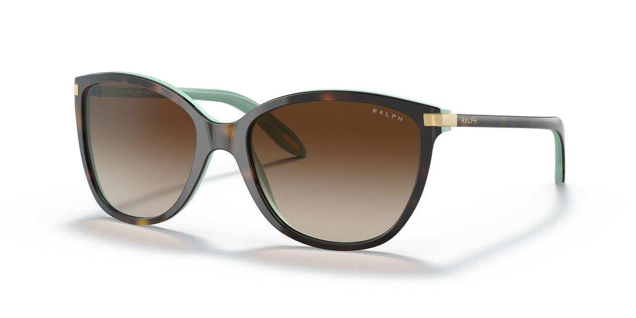 601/13 - Brown - Gradient Brown