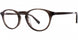 Kata Hakucho Eyeglasses