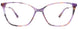 80 - Purple Tortoise