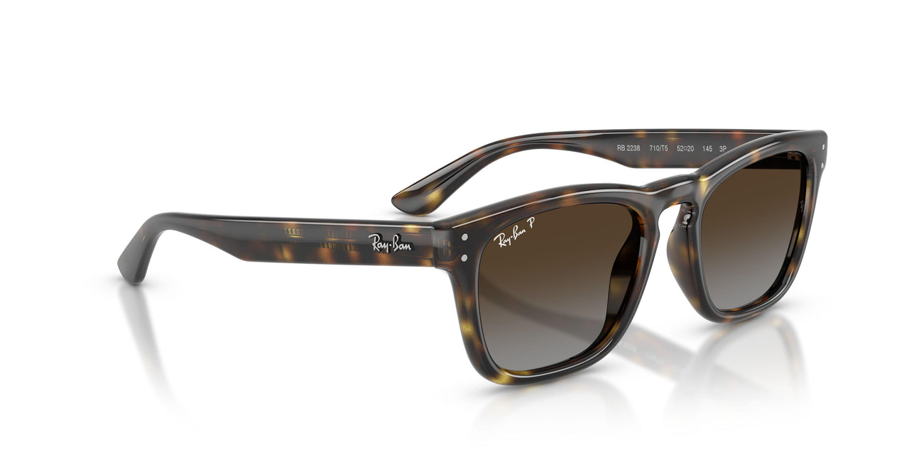 710/T5 - Tortoise - Polarized Light Grey Gradient Brow