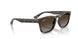 710/T5 - Tortoise - Polarized Light Grey Gradient Brow