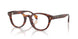 3034 - Tortoise