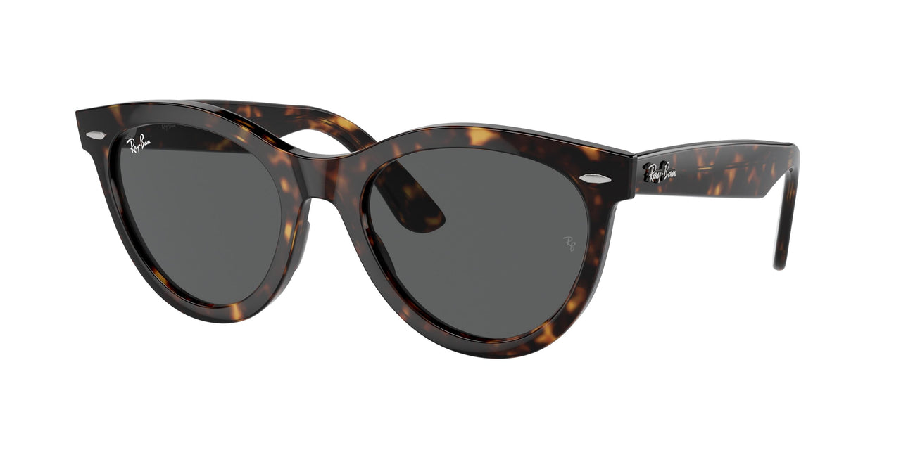 Ray-Ban Wayfarer Way 2241 Sunglasses