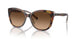 574274 - Tortoise - Brown Gradient