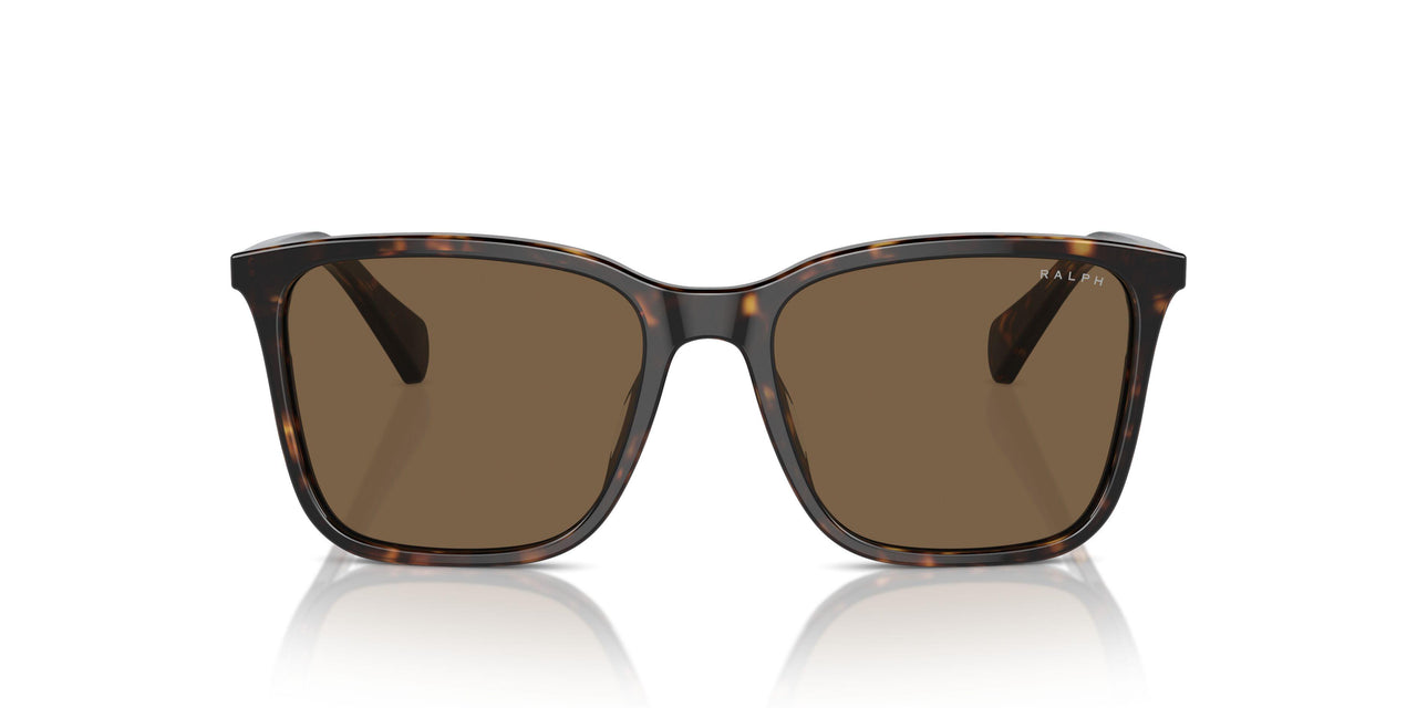 500387 - Brown - Brown