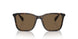 500387 - Brown - Brown