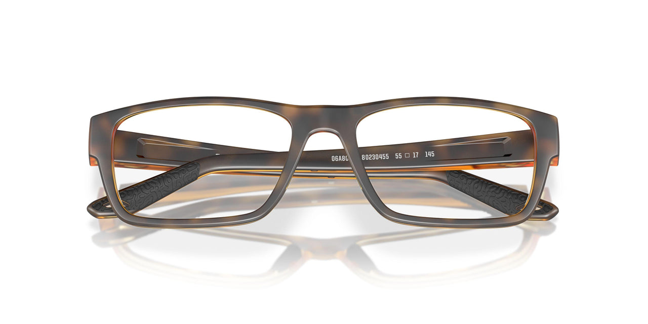 802304 - Tortoise