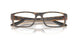 802304 - Tortoise