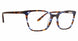 XOXO XOWINTERS Eyeglasses