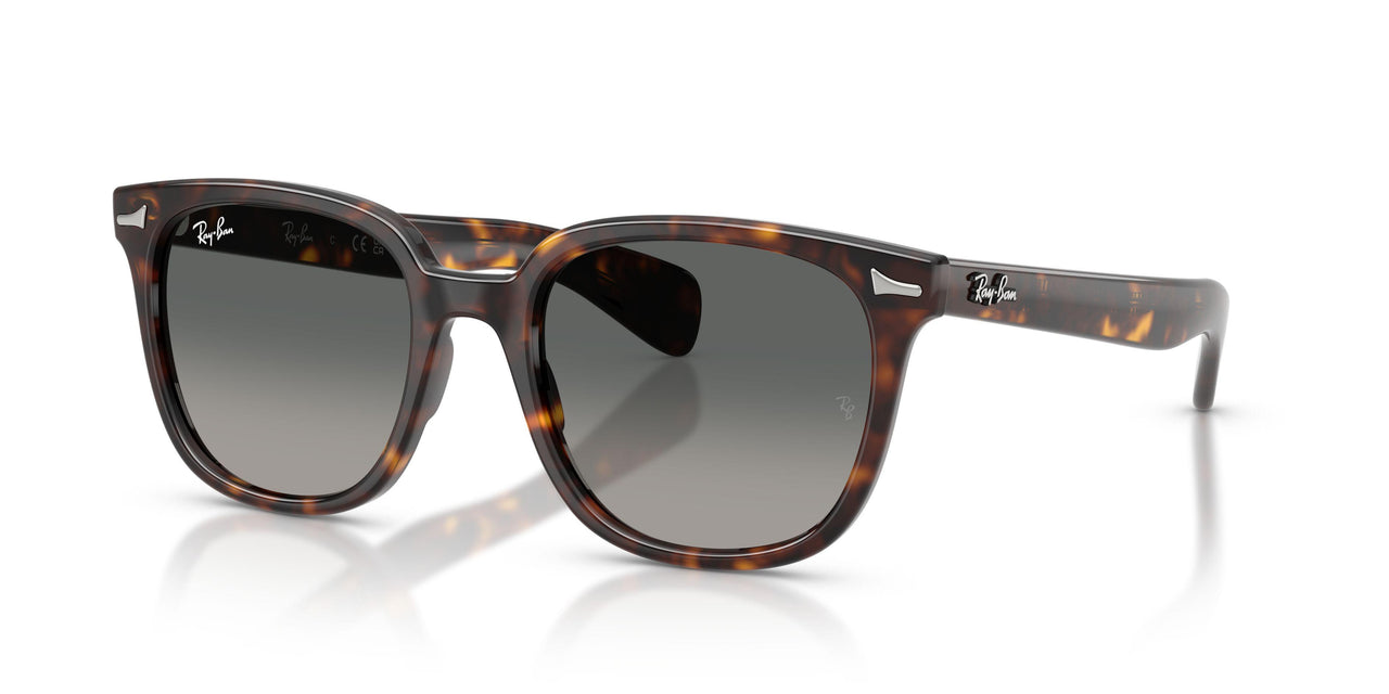 902/71 - Tortoise - Light Grey Gradient Dark Grey
