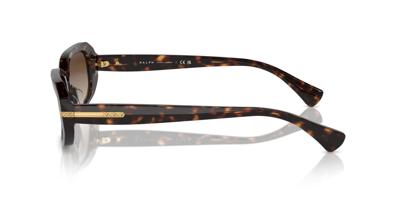 500313 - Brown - Gradient Brown
