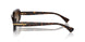 500313 - Brown - Gradient Brown