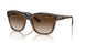 238613 - Brown - Brown Gradient