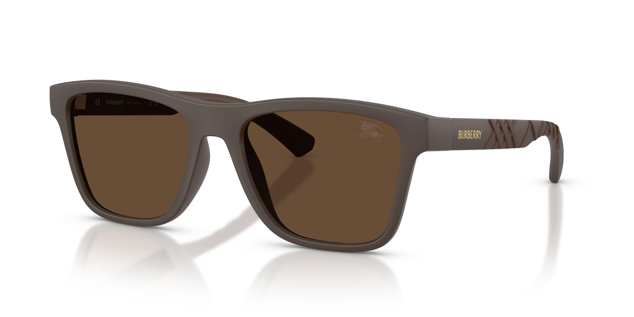 Burberry 4482U Sunglasses