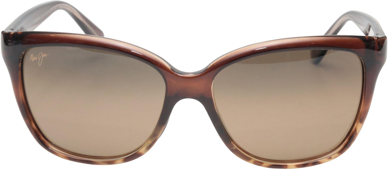 01T - Translucent Chocolate With Tortoise - Hcl Bronze