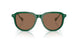 542173 - Green - Dark Brown