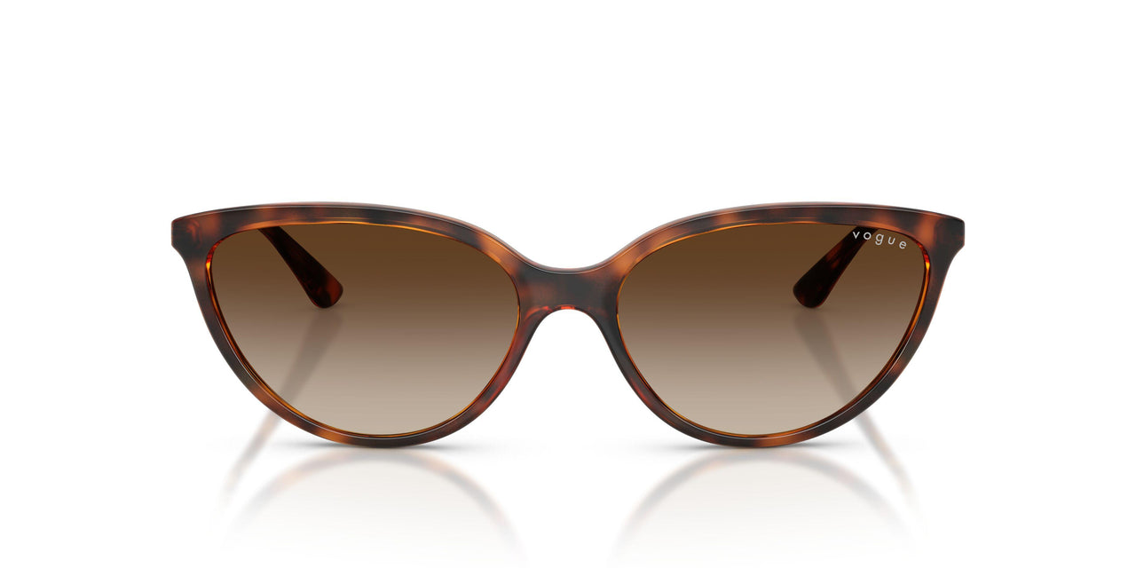 W65613 - Brown - Gradient Brown