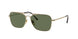 Ray-Ban Titanium 8136 Sunglasses
