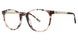 Via Spiga VSTrista Eyeglasses