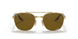 001/AN - Gold - Polar Brown