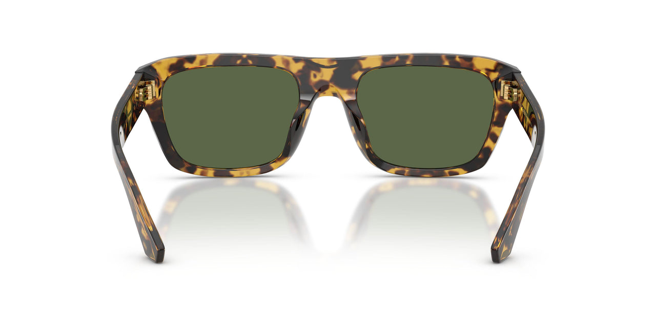 333071 - Tortoise - Dark Green