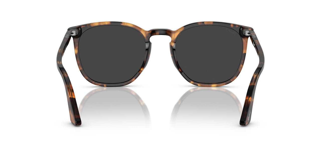 110248 - Tortoise - Polar Black