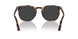 110248 - Tortoise - Polar Black