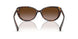 500313 - Tortoise - Gradient Brown