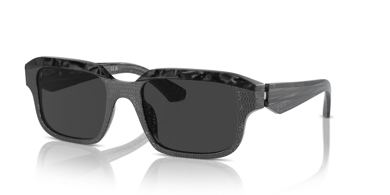 004/48 - Grey - Polarized Black