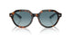 14133M - Tortoise - Blue Gradient Grey