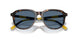 500380 - Tortoise - Dark Blue