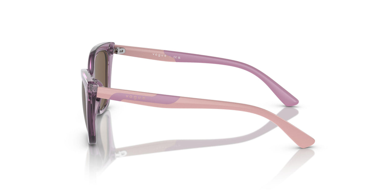 306473 - Transparent Violet - Dark Brown