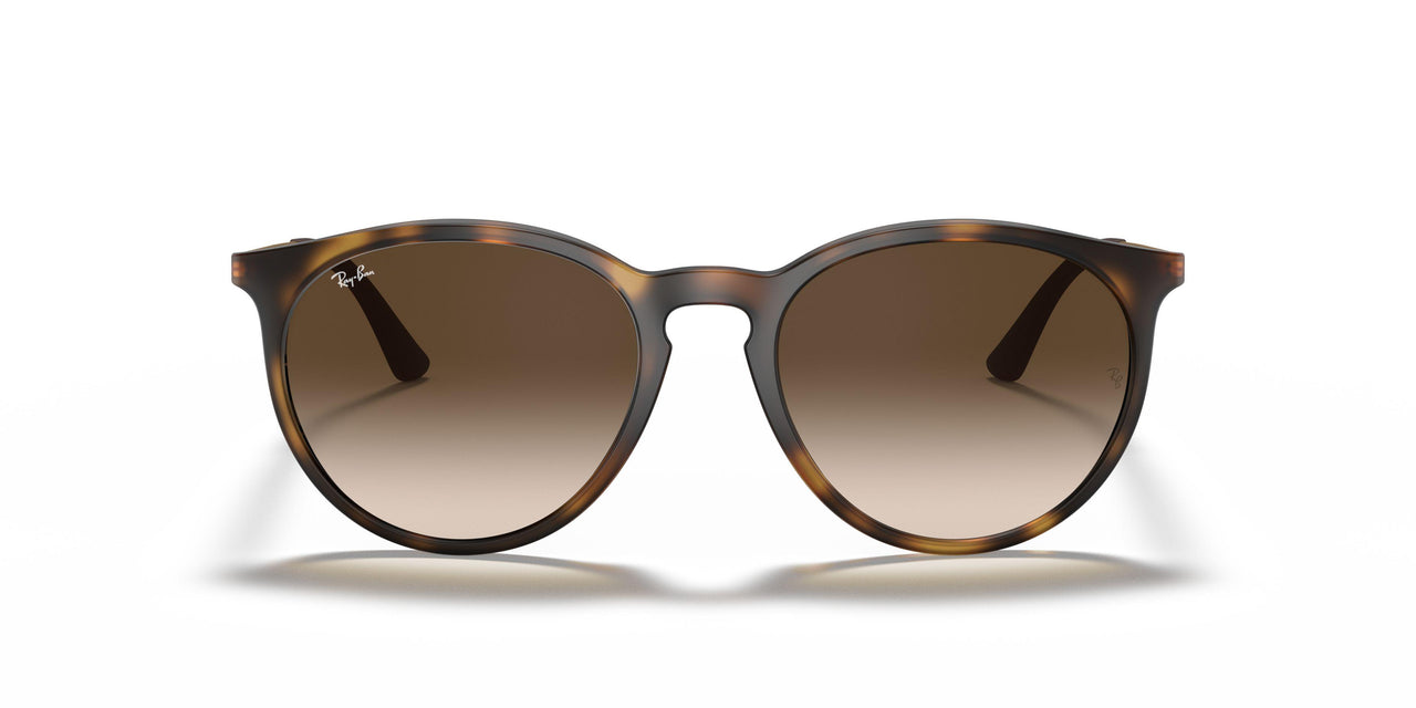 856/13 - Havana - Gradient Brown