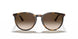 856/13 - Havana - Gradient Brown