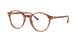 8359 - Tortoise - Clear