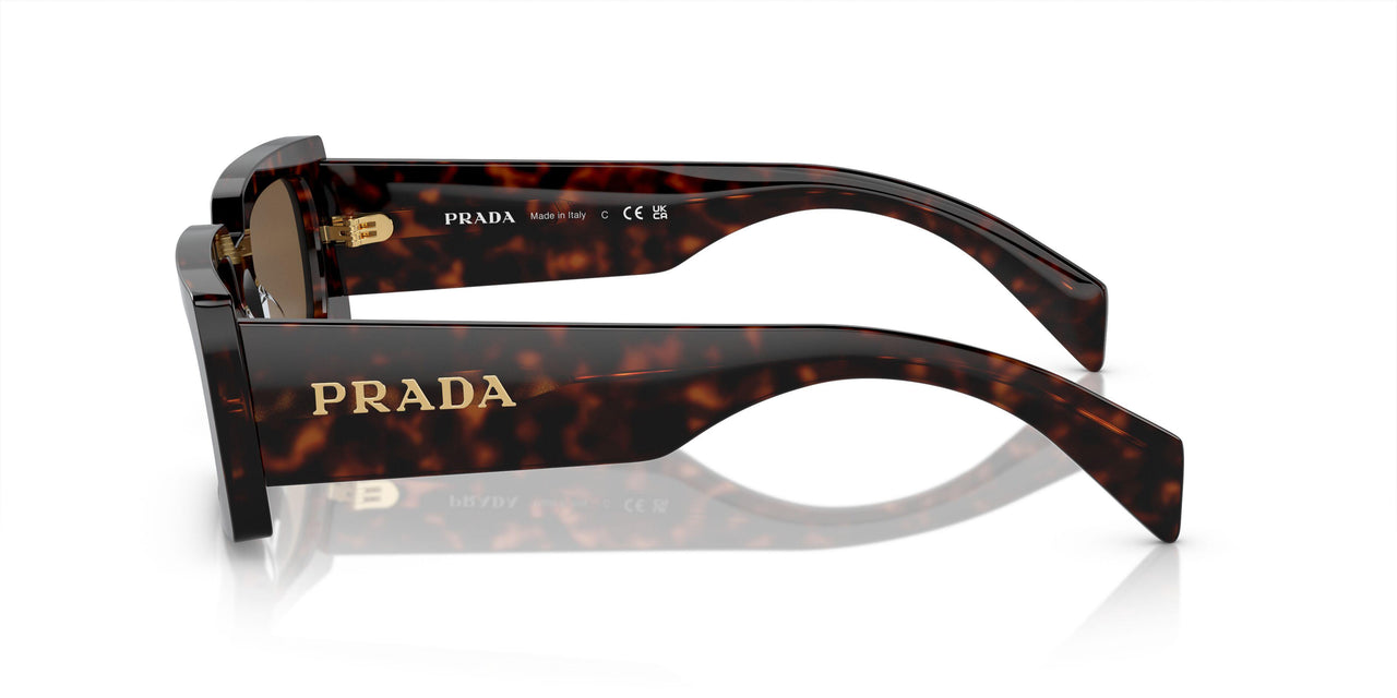 16N5Y1 - Brown - Dark Brown Polar