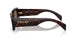 16N5Y1 - Brown - Dark Brown Polar