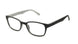 Polinelli P306 Readers