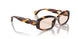 005 - Brown