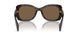 16N5Y1 - Brown - Dark Brown Polarized