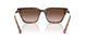 821313 - Tortoise - Gradient Brown
