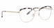 XOXO XOLAREDO Eyeglasses